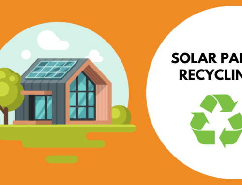 Shining a Light on Solar Panel Recycling: Turning Waste into Opportunity