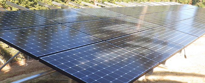 Solar Farming by Precis Solar.